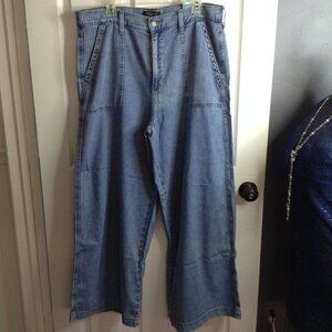 Banana Republic Wide Leg 33/16" Jeans; Cotton Blend, Big Pockets, Casual Flair